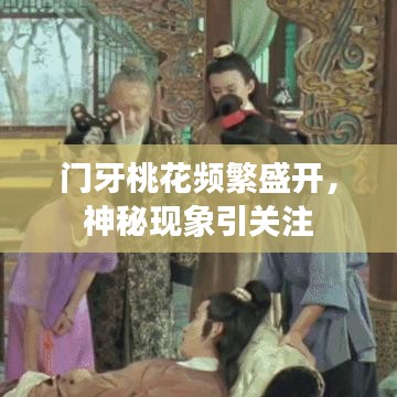 门牙桃花频繁盛开，神秘现象引关注