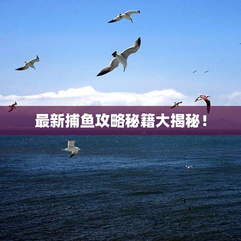 最新捕鱼攻略秘籍大揭秘!