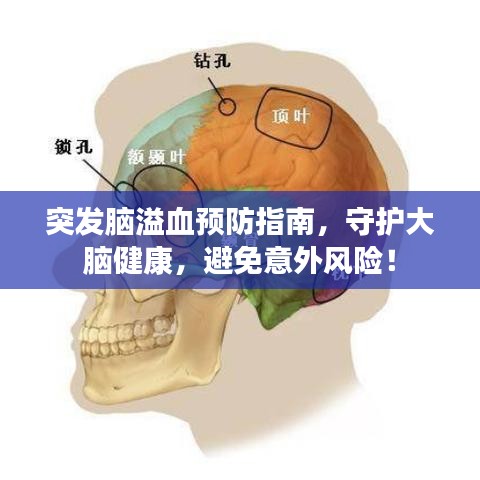 突发脑溢血预防指南，守护大脑健康，避免意外风险！