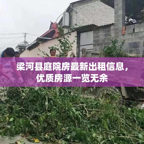 梁河县庭院房最新出租信息，优质房源一览无余