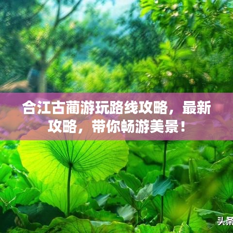 合江古蔺游玩路线攻略，最新攻略，带你畅游美景！