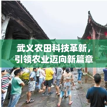 武义农田科技革新，引领农业迈向新篇章