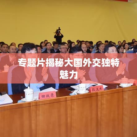 专题片揭秘大国外交独特魅力
