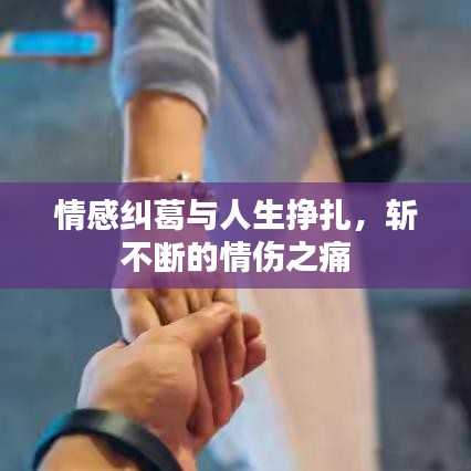 情感纠葛与人生挣扎，斩不断的情伤之痛