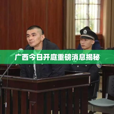 广西今日开庭重磅消息揭秘