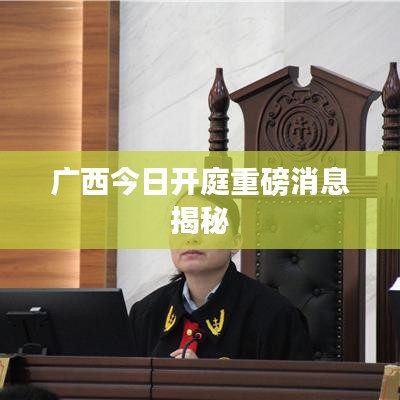 广西今日开庭重磅消息揭秘