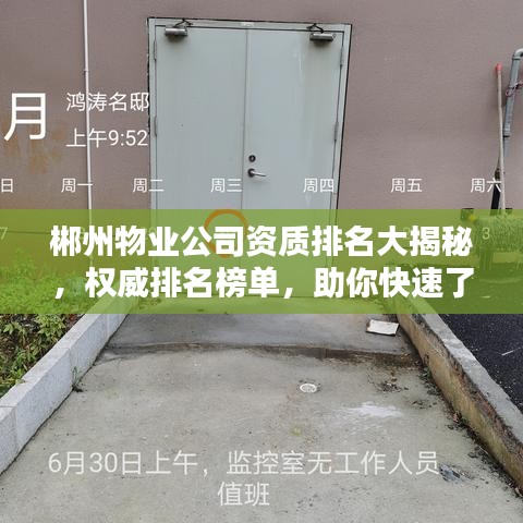 郴州物业公司资质排名大揭秘，权威排名榜单，助你快速了解优质服务企业！