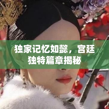 独家记忆如懿，宫廷独特篇章揭秘