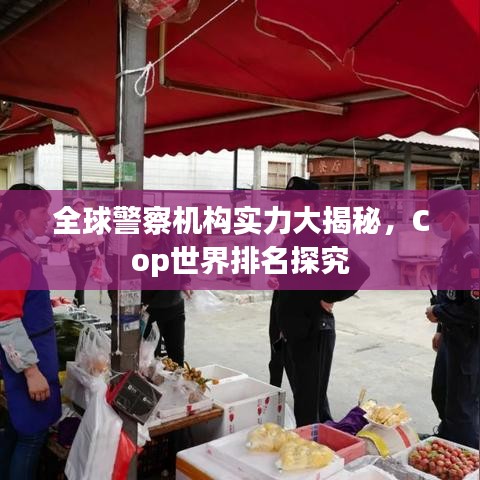 全球警察机构实力大揭秘，Cop世界排名探究