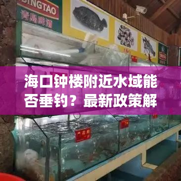 海口钟楼附近水域能否垂钓？最新政策解读与消息透露