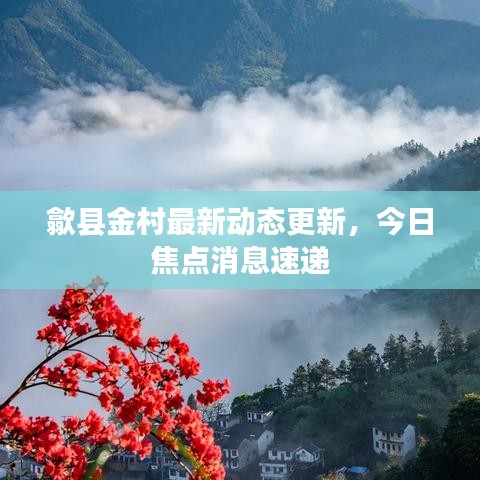 歙县金村最新动态更新，今日焦点消息速递