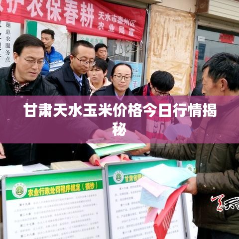 甘肃天水玉米价格今日行情揭秘