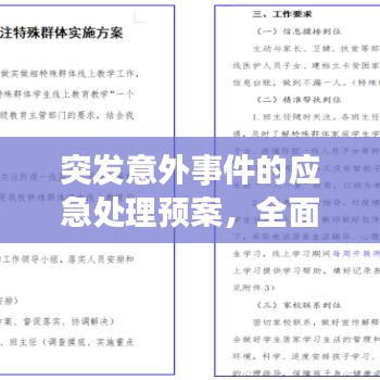 突发意外事件的应急处理预案,全面应对危机,守护安全