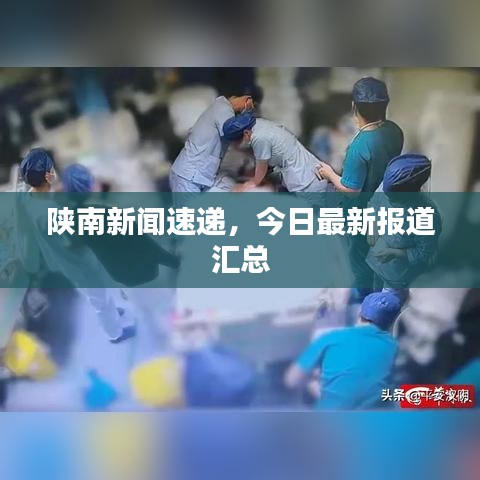 陕南新闻速递，今日最新报道汇总