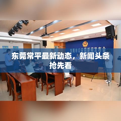 东莞常平最新动态，新闻头条抢先看