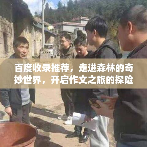 百度收录推荐，走进森林的奇妙世界，开启作文之旅的探险之旅！