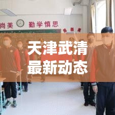 天津武清最新动态更新!