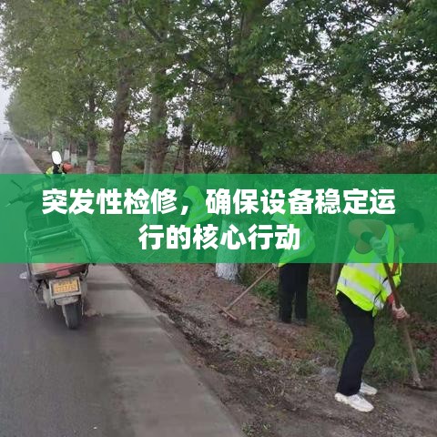 见缝就钻 第6页