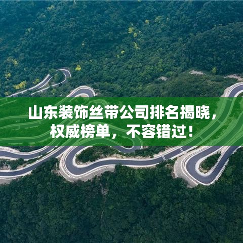 山东装饰丝带公司排名揭晓，权威榜单，不容错过！