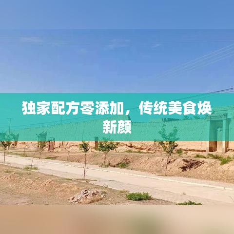 独家配方零添加,传统美食焕新颜