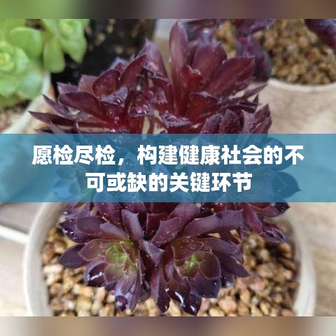 愿检尽检，构建健康社会的不可或缺的关键环节