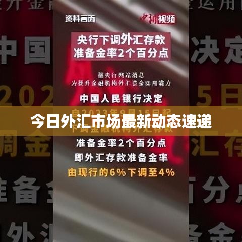 今日外汇市场最新动态速递