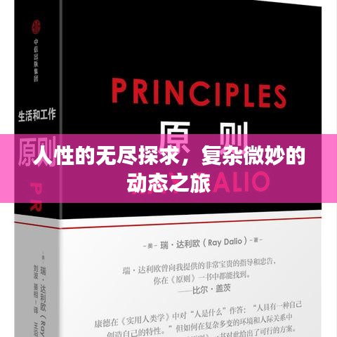 人性的无尽探求，复杂微妙的动态之旅