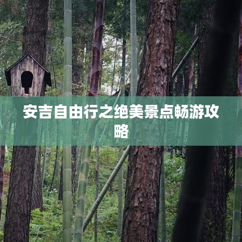 安吉自由行之绝美景点畅游攻略