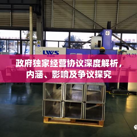 政府独家经营协议深度解析，内涵、影响及争议探究