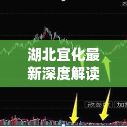 湖北宜化最新深度解读，今日走势分析与展望