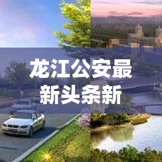 龙江公安最新头条新闻，一睹为快！