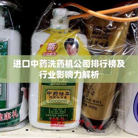 进口中药洗药机公司排行榜及行业影响力解析