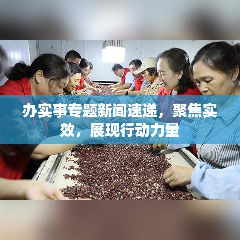 办实事专题新闻速递，聚焦实效，展现行动力量