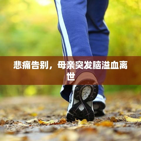 悲痛告别,母亲突发脑溢血离世