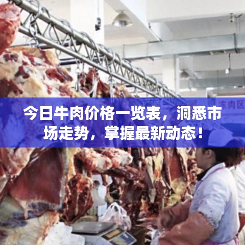 今日牛肉价格一览表，洞悉市场走势，掌握最新动态！