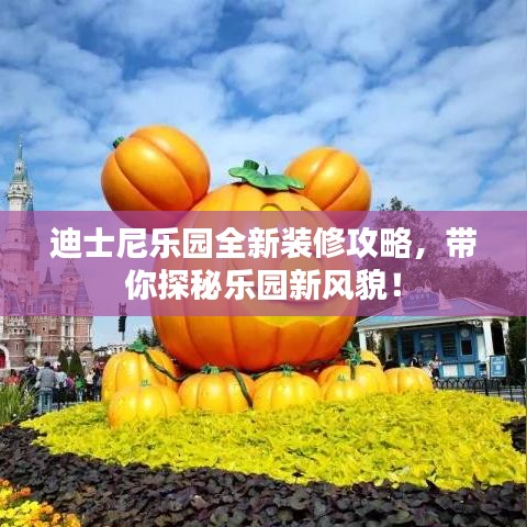 迪士尼乐园全新装修攻略，带你探秘乐园新风貌！