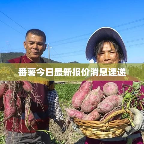 为民请命 第7页