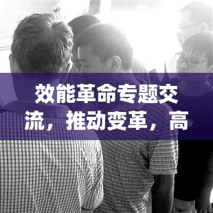 效能革命专题交流,推动变革,高效发展之路