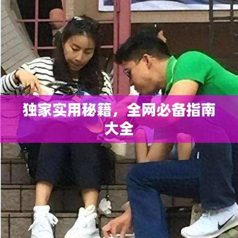 独家实用秘籍，全网必备指南大全