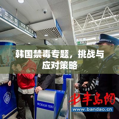 韩国禁毒专题，挑战与应对策略