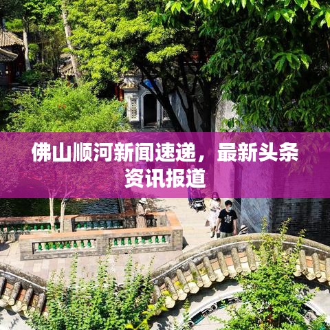 佛山顺河新闻速递，最新头条资讯报道