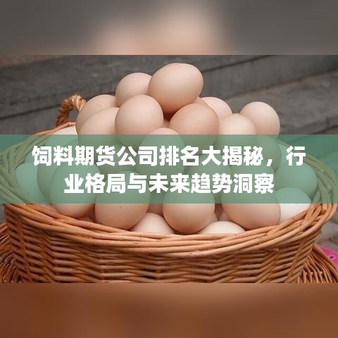 饲料期货公司排名大揭秘，行业格局与未来趋势洞察