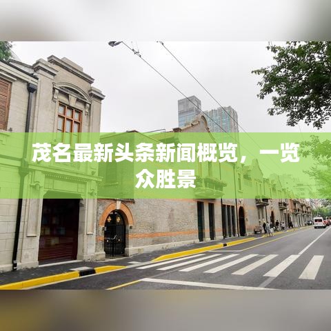 茂名最新头条新闻概览，一览众胜景