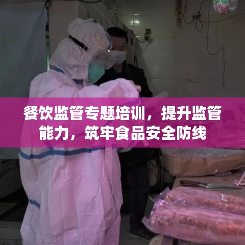 餐饮监管专题培训，提升监管能力，筑牢食品安全防线