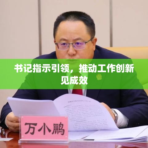 书记指示引领，推动工作创新见成效