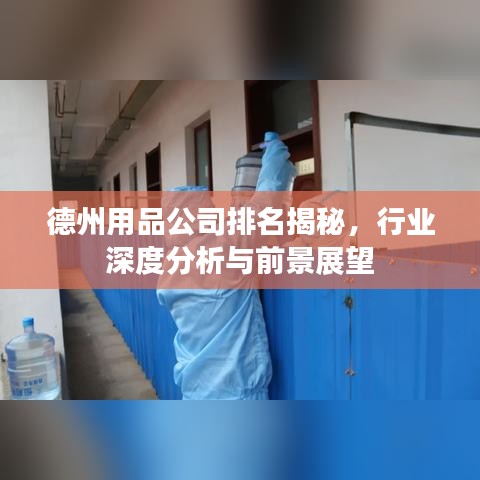 德州用品公司排名揭秘，行业深度分析与前景展望