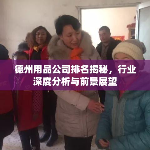 德州用品公司排名揭秘,行业深度分析与前景展望