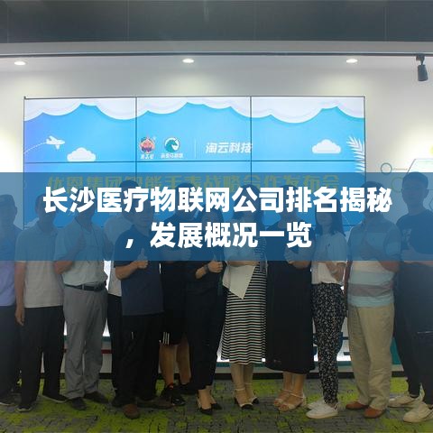 长沙医疗物联网公司排名揭秘,发展概况一览