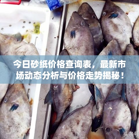 今日砂纸价格查询表，最新市场动态分析与价格走势揭秘！