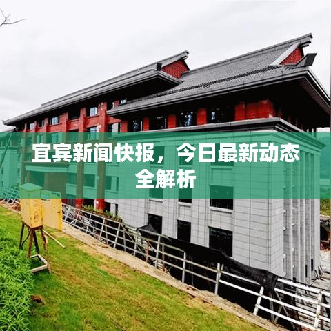 宜宾新闻快报，今日最新动态全解析